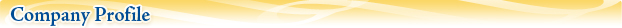 Company Profile