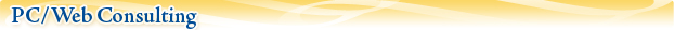 PC/Web Consulting