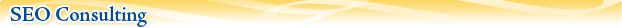 SEO Consulting