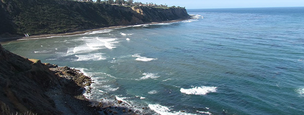 Surfing Column