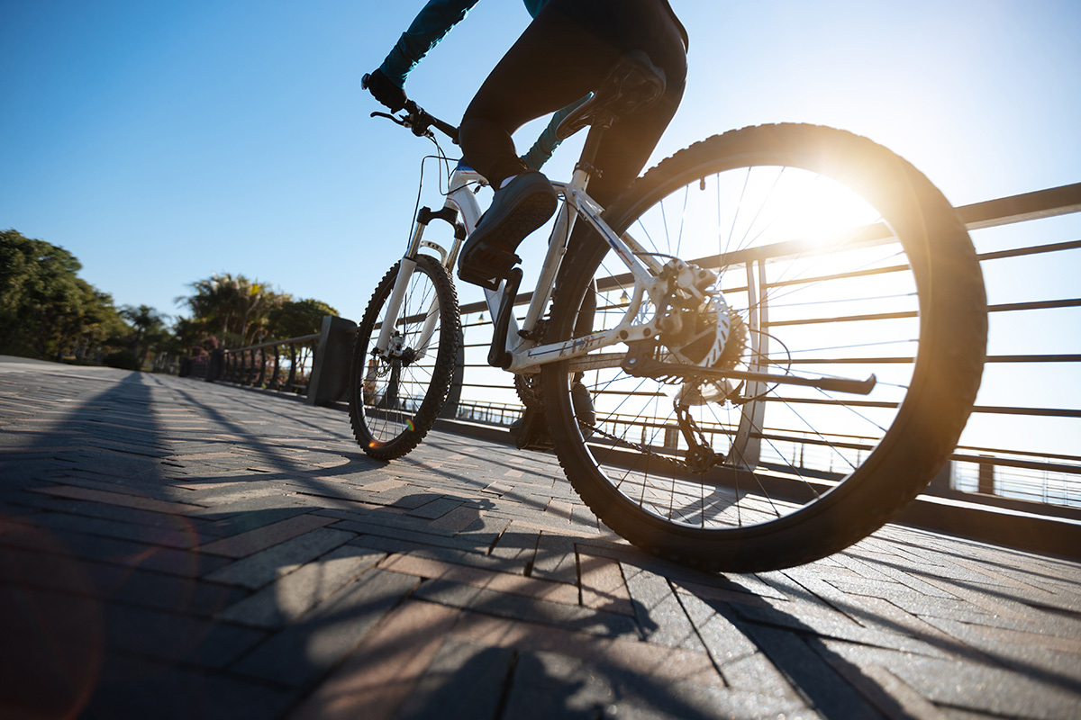 朝日の差す道路を走る自転車通勤の様子