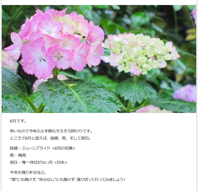 6月です。早いもので今年の上半期もそろそろ終わりです。