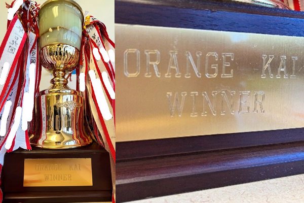 Trophy Golf tournement_image