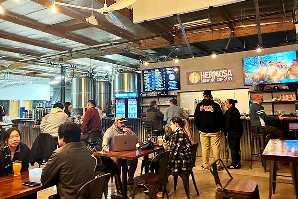 Hermosa Brewing Company Beer
