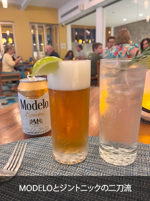 MODELOとジントニックの二刀流