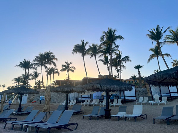 夕暮れのビーチに並ぶデッキチェアとヤシの木