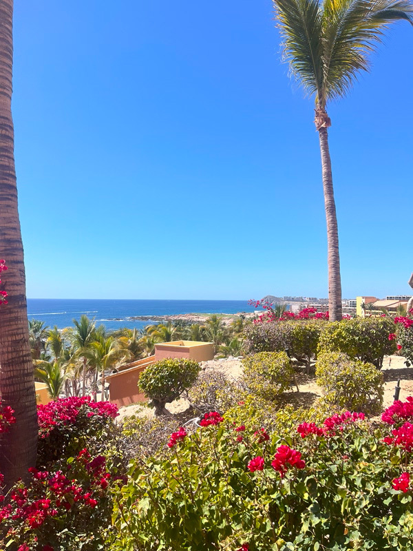 海の眺め。遠くにゴルフ場が見える