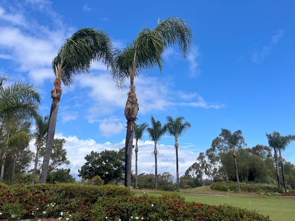 Old Ranch Golf Course