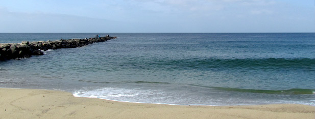 Surfing Column