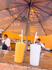 マンゴーダイキリとピニャコラーダ