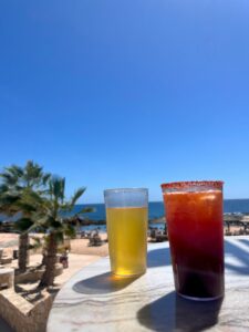 ベリーニとMODELO