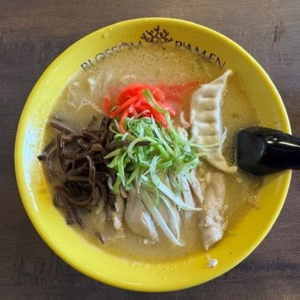 黄色い丼に入ったTaishi Hainan ChickenのTsubaki Tori Paitan